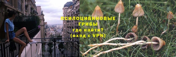 крисы Алексеевка