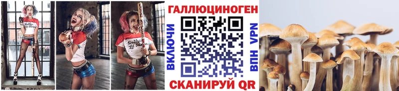 Псилоцибиновые грибы Cubensis  Изобильный 